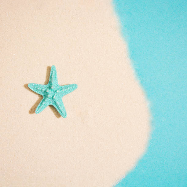 Starfish laid out on sand on blue backgorund. Summer beach concept. Miniimal flat lay.