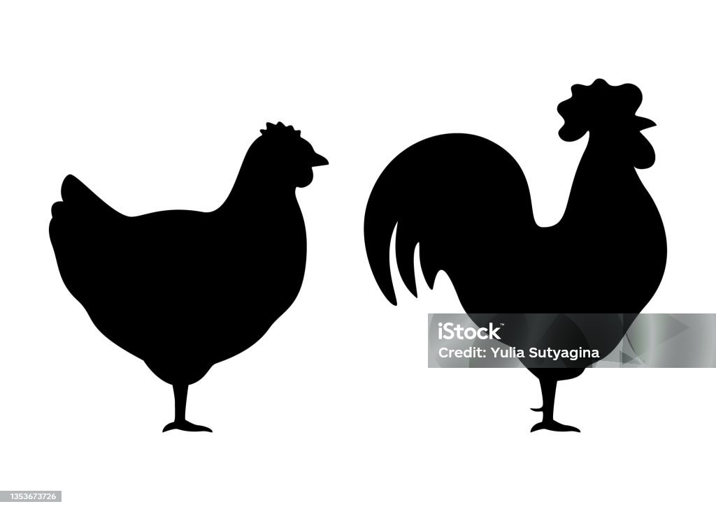 Silhouette Of Chicken And Rooster Animal Black Contour Farm Hen Household  Bird Farm Vector Illustration Stock Illustration - Download Image Now -  iStock