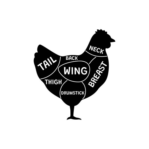 ミートチキン、シルエット鳥、輪郭片編をカット。肉屋のための生の鶏肉を図示します。家庭の鳥の農場。脚、翼、胸、ドラムスティック、尾、首から全体のひよこ。ベクトルの図 - chicken animal foot farm store点のイラスト素材／クリップアート素材／マンガ素材／アイコン素材