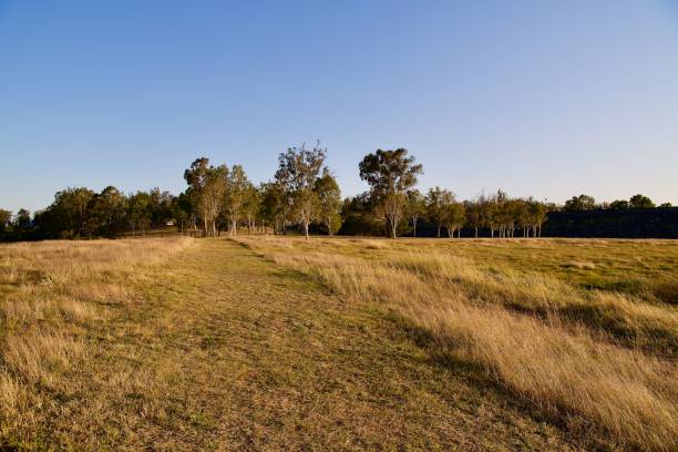 istock Twine Orange And Sandy Brown Australian Landscape 1353673797