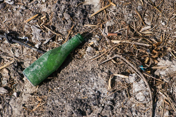istock Green Glass Bottle, Garbage in the Forest 1353675660