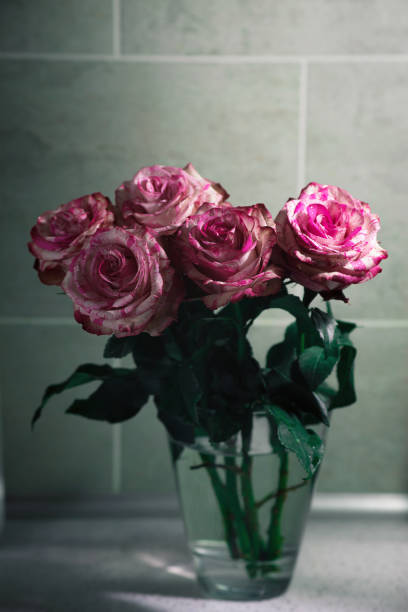 istock bouquet of pink roses 1353676087