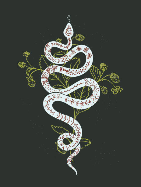 Mystic Black Print With Snake And Strawberry Plant Vector Illustration In  Trendy Linear Stock Illustration - Download Image Now - iStock