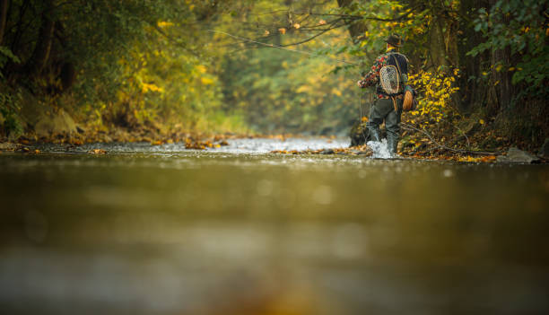 istock Fly fishing on a splendid mountain river 1353679230