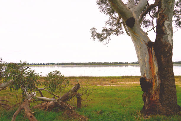 istock Hopetoun, Victoria Australia 1353679314