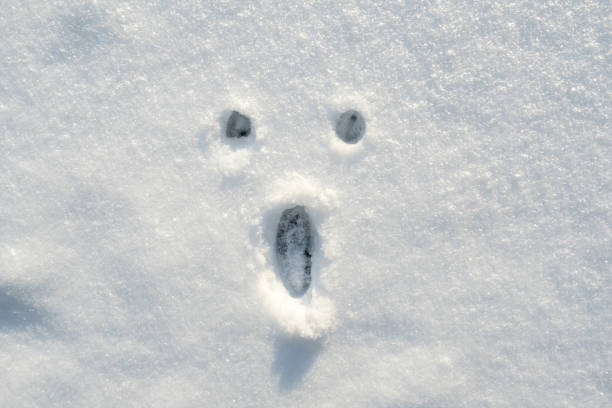 istock A surprised smiley face painted on the snow, on a sunny winter day. Copy space. 1353680387