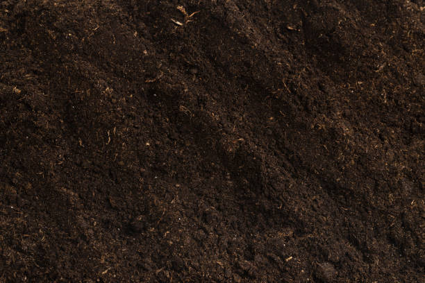 istock Soil for plant isolated on white background. 1353681126