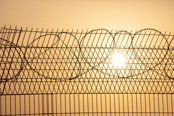 Barbed wire against the setting sun. Metaphor of slavery and the search for freedom Barbed wire against the setting sun. Metaphor of slavery and the search for freedom war zone stock pictures, royalty-free photos & images