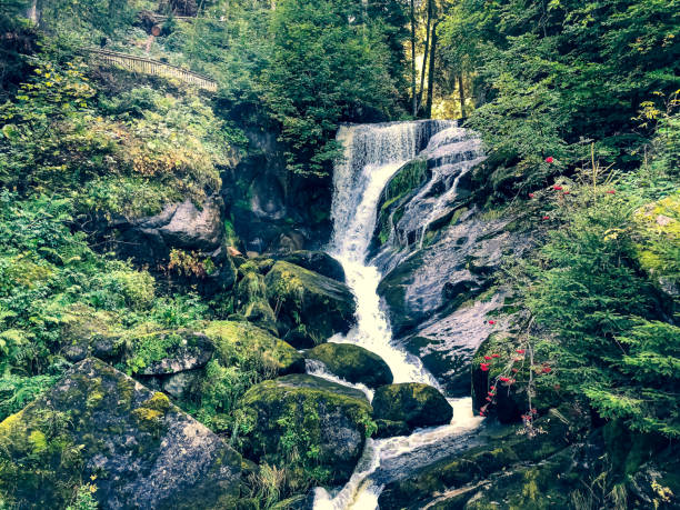 istock A waterfall in the Black Forest in Germany. 1353682683