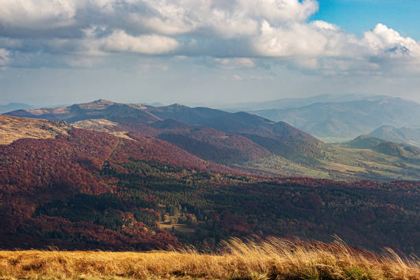 istock Autumn view of Polish Bieszczady mountains 1353685592