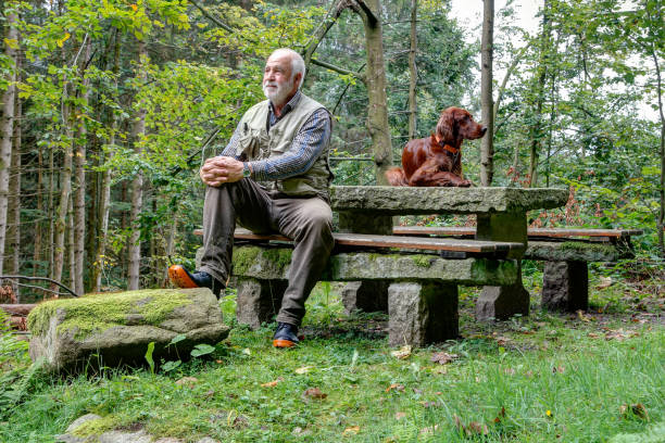 istock A hiker and his dog takes a rest on a stone bench. 1353686871