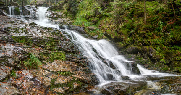 istock The highest waterfall in the Bavarian Forest 1353686940