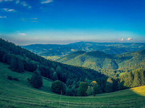 View of the valley in the Black Forest in Germany.