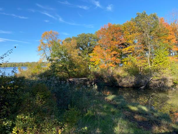 istock Fall Color in starved rock state park and Matthiessen park 1353690637
