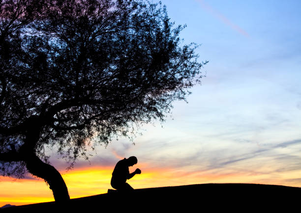 istock Silhouette of Man Praying Under Mesquite Tree 1353691581