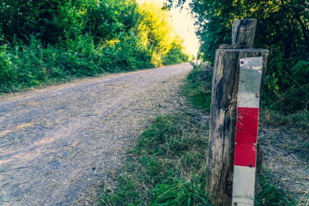 A road through a forest with a barrier.