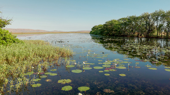 early morning dry season wide angle view of marlgu billabong