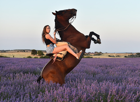 Beautiful model in a horse