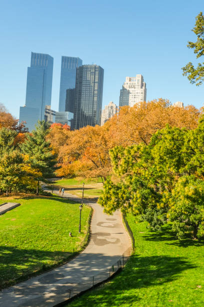 istock Autumn in the park 1353701540