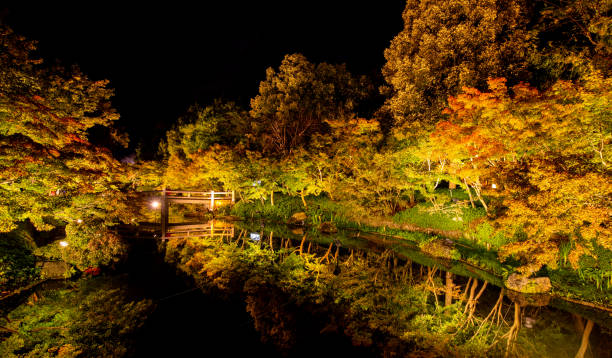 istock Colorful autumn trees illuminated at night and reflected in a river 1353703049