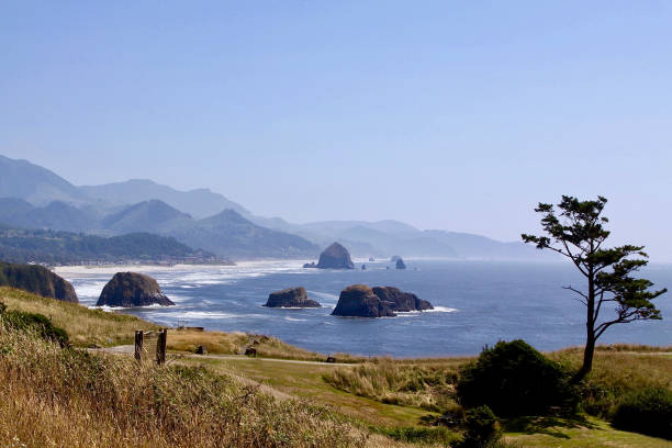 istock Cannon Beach In Oregon 1353703714