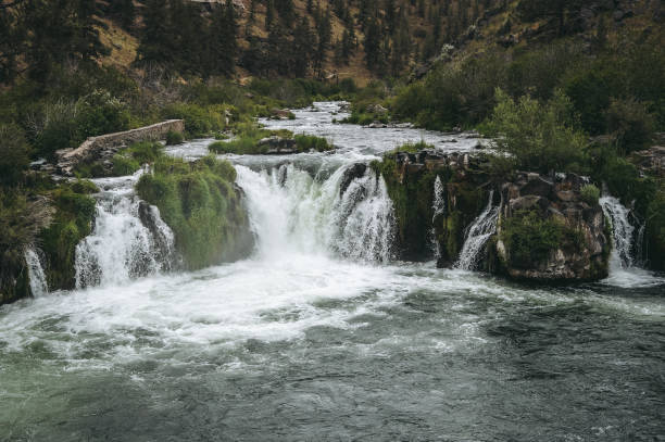 istock Steelhead Falls - Oregon 1353707382
