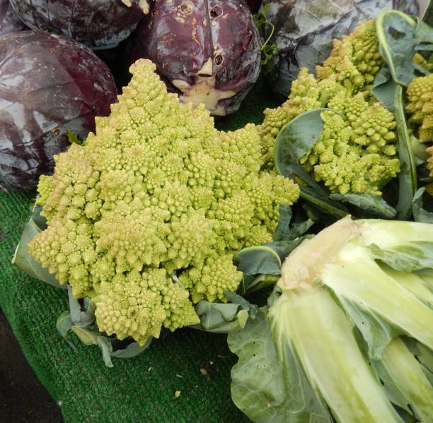 istock Fresh Romanesco, Cabbage, beet root on retail display in farmers market 1353711112