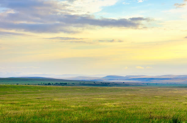 istock Evening in the steppes of Khakassia 1353711301