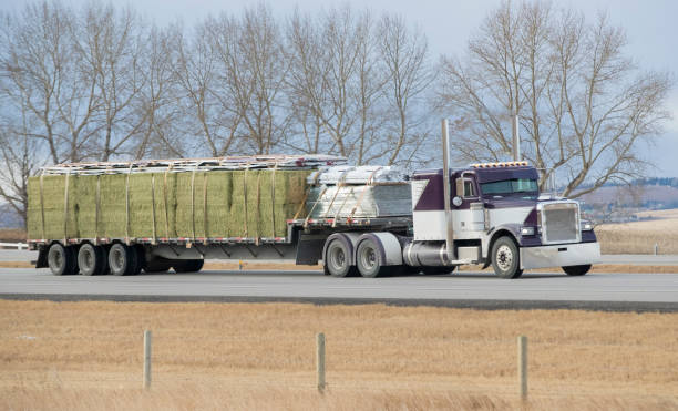 istock Heavy Cargo on the Road 1353718756