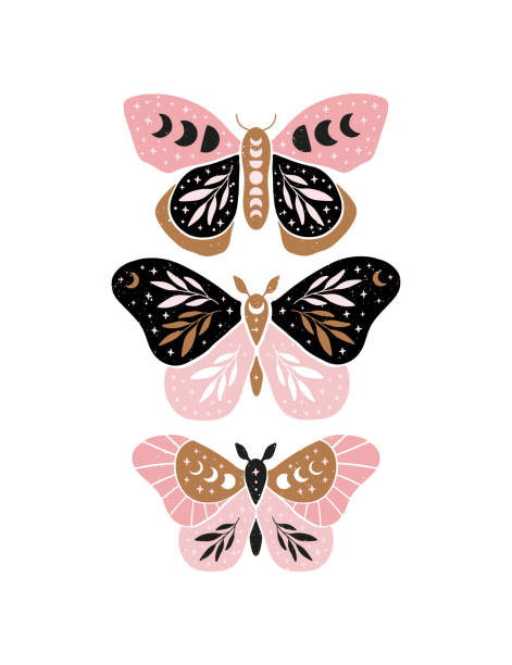 Celestial Butterfly Vector Illustration Stock Illustration - Download Image  Now - Butterfly - Insect, Boho, Moth - iStock