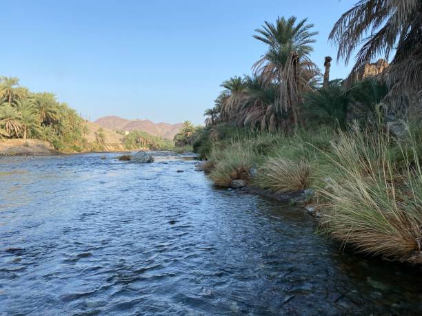 istock Hiking in Wadi al Hawqayn in Oman 1353721938