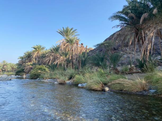 istock Hiking in Wadi al Hawqayn in Oman 1353721993