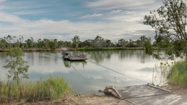 istock close view of cable ferry approaching the shore on the murray river 1353725709