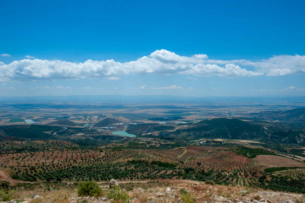 panorama da terra agrícola - antakya - fotografias e filmes do acervo