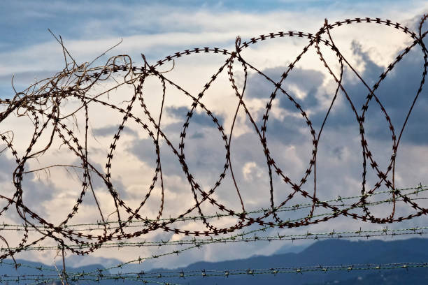 istock Barbed wire with overcast cloudy sky on the background 1353727575