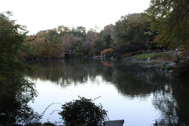 istock Central Park New York City 1353731707