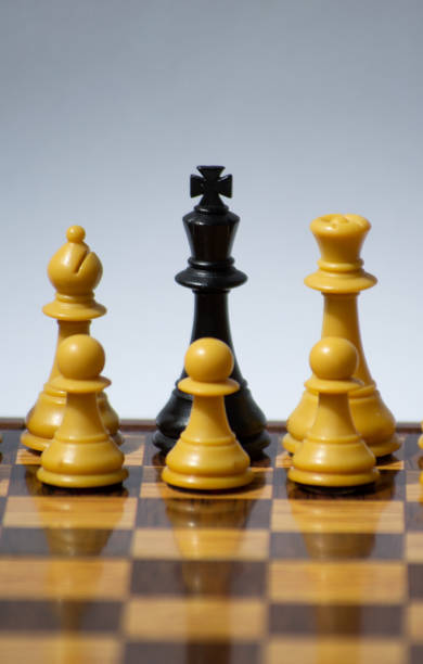 istock A black King in a white chess team as a symbol of integration 1353734216