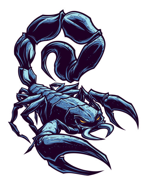 Black scorpion vector drawing Black scorpion on the white background vector illustration. scorpions drawings stock illustrations