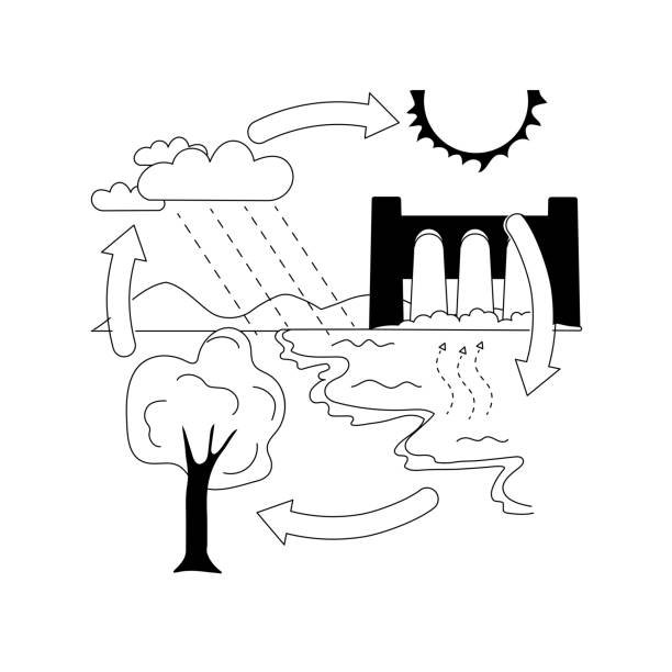Water Cycle Diagram Black And White Blank