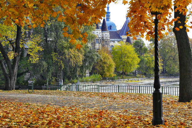 istock Vajdahunyad castle and autumn foliage, Budapest, Hungary 1353738806