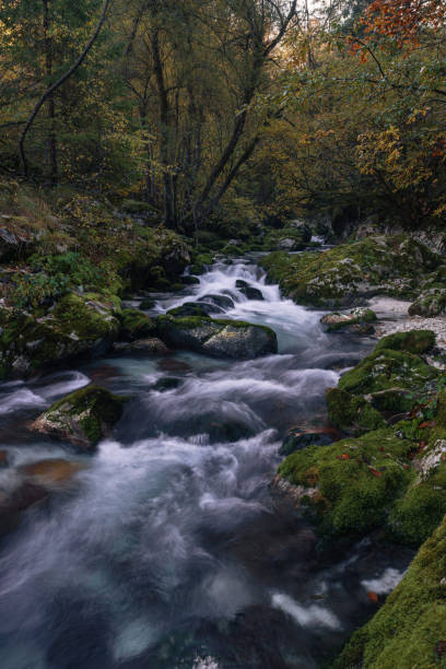istock Sunikov spring in Soca Valley, Slovenia 1353742810