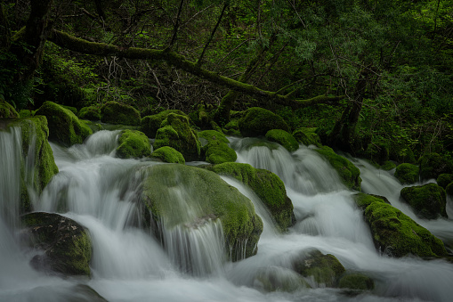 Bovec, Slovenia, June 12, 202: Izvir Giljuna, a beautiful spring near the small hiking and adventure village Bovec in Slovenia.