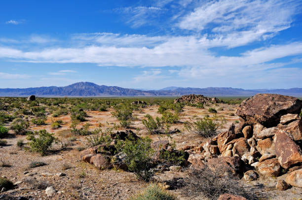 istock Joshua Tree National Park 1353743959