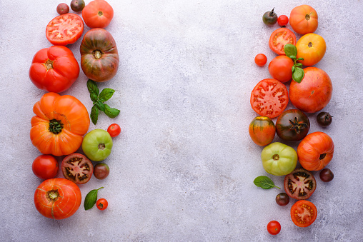 Assortment of different colorful tomatoes. Summer or autumn harvest concept