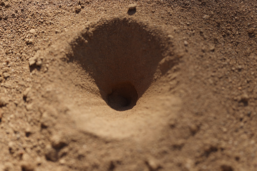Top view of old small hole in ground or steppe or field with texture of soil and sand. Hollow of earth made by nature or animal home. Digging soil concept