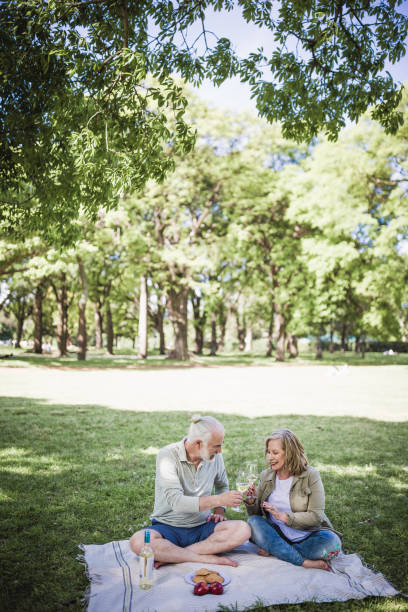 istock Senior couple having a picnic in a park 1353753386