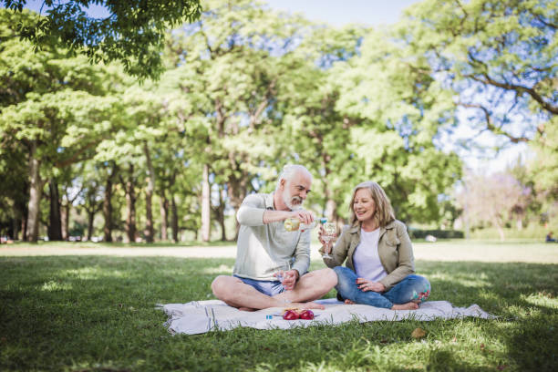 istock Senior couple having a picnic in a park 1353753387