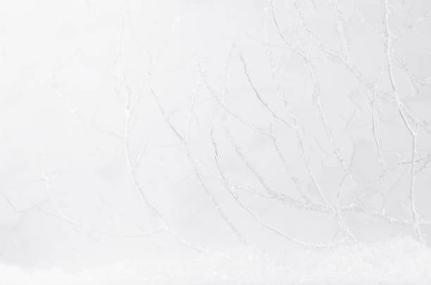 istock Snowy frosty winter decorative white background with branches in bright sparkle hoar and fluffy fake snow. Festive frost christmas background for design, poster, card, flyer, brochure. 1353756796
