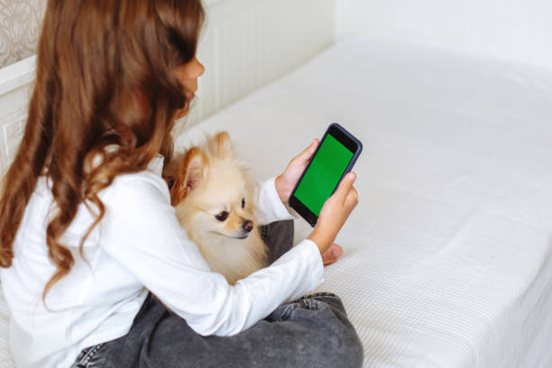 istock A girl behind the phone with a green screen 1353757070