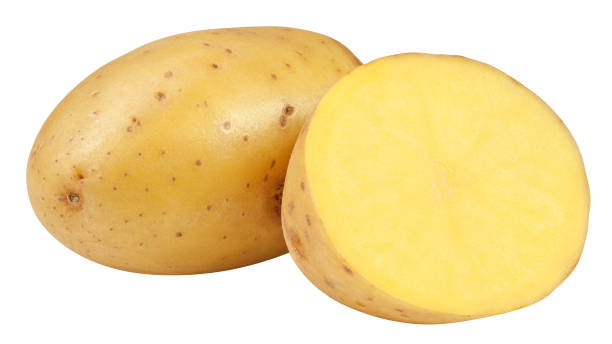 istock potato, isolated on white background, clipping path, full depth of field 1353758269
